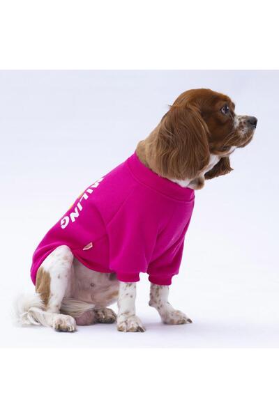 Pawstar Pink Lahti Cat Dog Sweat - Cat Dog Outfit