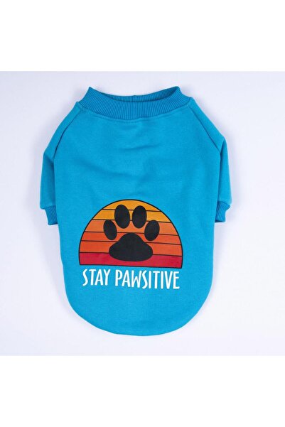 Pawstar Turkuaz Carmel Kedi Köpek Sweat- Kedi Köpek Kıyafeti