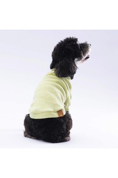 Pawstar Yellow Merino Cat Dog Sweat - Cat Dog Outfit