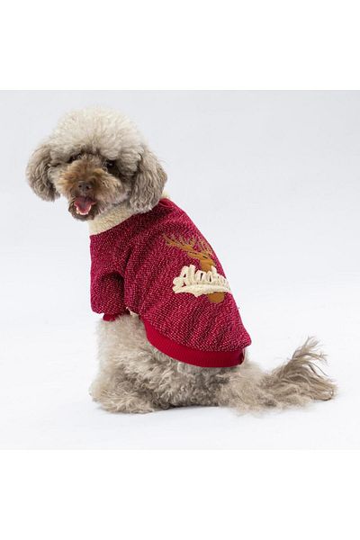 Pawstar Burgundy Alaska Cat Dog Sweat - Cat Dog Outfit