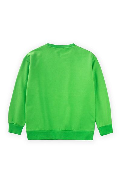 Cigit Hanorac verde cu broderie Peackhins - 9-14 ani