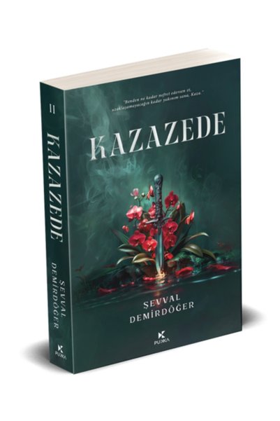 Pukka yayınları KAZAZEDE 2 كرتون - ŞEVVAL DEMİRDÖĞER
