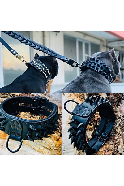 AC LEATHER DERİ KÖPEK BOYUN TASMASI