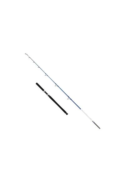 CAPTAIN 1411 Victor Boat 2 Parça Tekne Kamışı 30-160gr Atar 165 CM