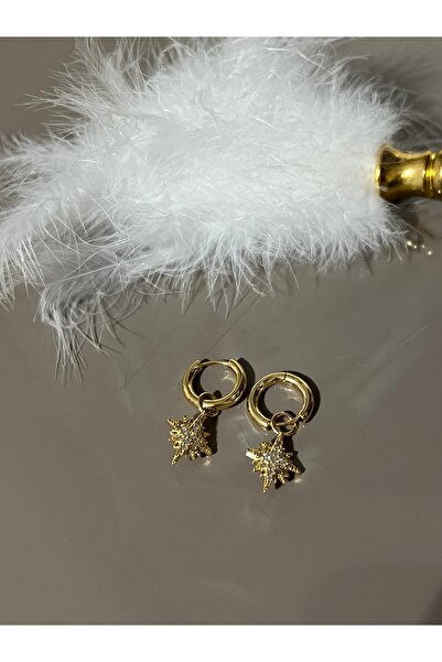 Home Altın Yaldızlı Taşlı Kutup Yıldızı Küpe Ithal Paslanmaz Çelik