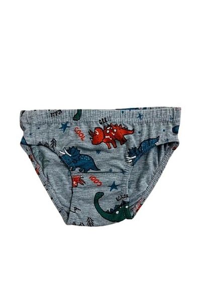 elmas kids Boy's Cotton Gray Dinosaur Patterned 2-Piece Slip