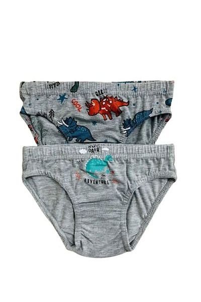 elmas kids Boy's Cotton Gray Dinosaur Patterned 2-Piece Slip