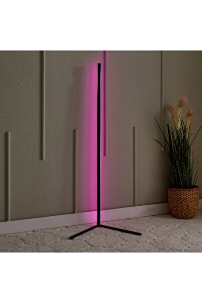 Home Box Lita Lamp with Remote Control Music Sync - 42x42x140 cm