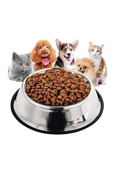 Duffa 2 Adet Paslanmaz Çelik Mama Ve Su Kabı, Alt Taban 22 Cm (500 ML-16 OZ)