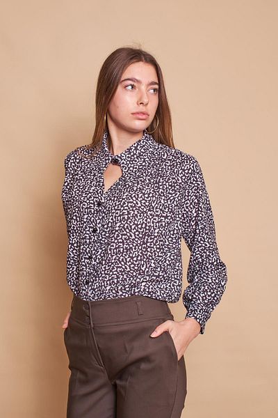 Jument Decolteu în V cu model în față, umeri plisați, mânecă lungă, cămașă elegantă din țesătură fără lycra - model bej