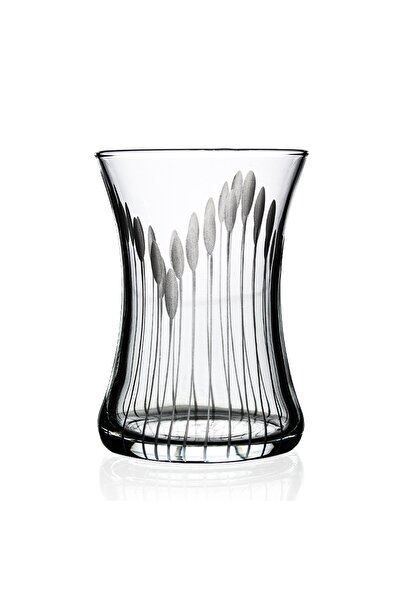 DECOCIA Nazen 6Lı Çay Bardağı 175cc Vega Desenli