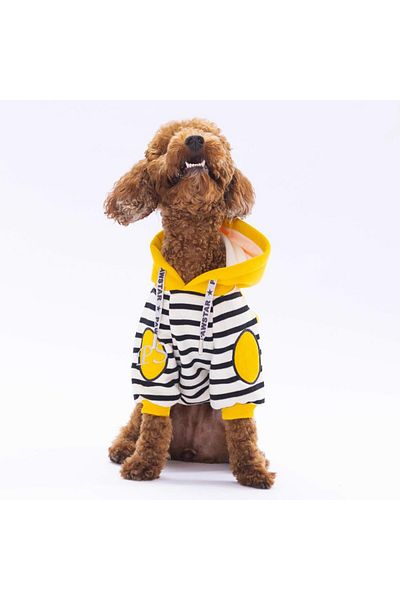 Pawstar Yellow Lucky Club Dog Hoodie Dog Sweat Dog Outfit Cat Outfit