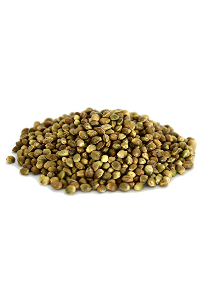 LokmanAVM Kendir-Tohumu Doğal 100 Gr Paket