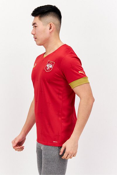 Puma Men Sportswear Fit Brand Logo T-shirt, Red