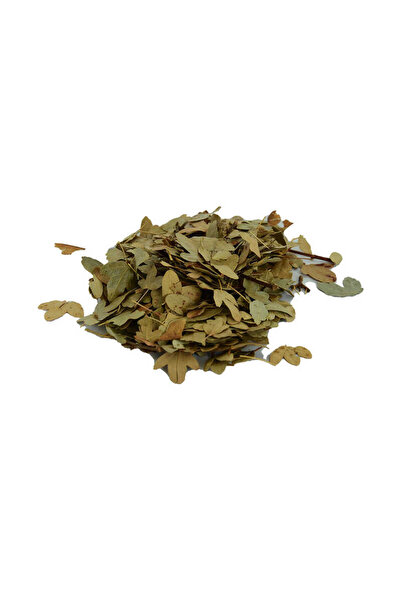 ALVERA COLLECTION Boxwood Leaf Natural 100 Gr Package