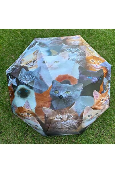 The Lavinia Sevimli Kediler Yarasa Model MANUEL Şemsiye
