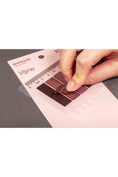 GUGUK Transparent Pet Index with 10 Colored Cherry Rulers - Post-It Sticky Note