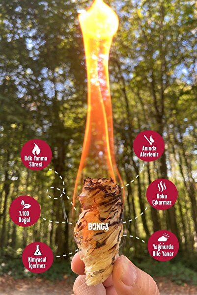 BONGA Mangal Ve Ateş Tutuşturucu 100 Adet 1400 gr - Jel Ve Çıra Alternatifi Doğal Odun Yünü