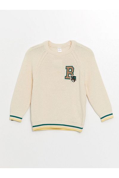 LC Waikiki Lw - Crew Neck Long Sleeve Baby Boy Knitwear Sweater