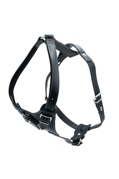 Doggie Medium Black Dragon Leather Dog Collar - 2.5X65-75 cm from Petshop