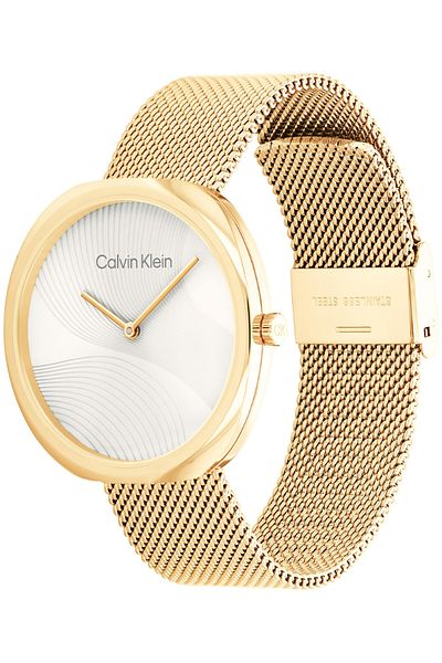 Calvin Klein Ck25200246 Model Women's Wristwatch