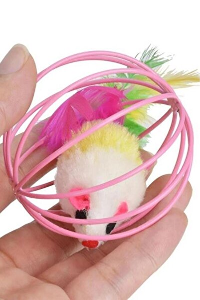 jetfast 6 Cm Kafesli Renkli Fareli Kedi Köpek Oyun Topu Yavru Ve Yetişkin Ked...