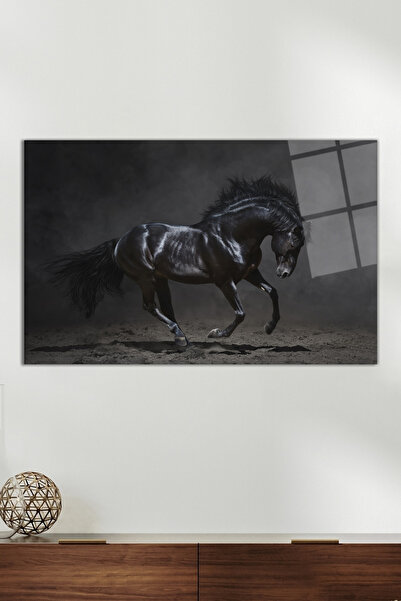 Vosevu Siyah Asil At Portresi Cam Tablo, Modern Ev Ofis Dekoru, Hediyelik Duv...