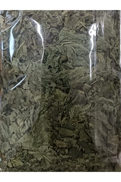 KURMEYSAN Nettle, Scallion, Waxing, Dalagan, Bite, Dead Nettle, Urtica Dioica Net 30 gr Dried