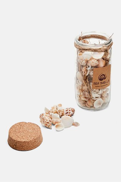 Muy Mucho Decorative Glass Jar With Sea Shells 14 H X 6 D Cm, Assorted