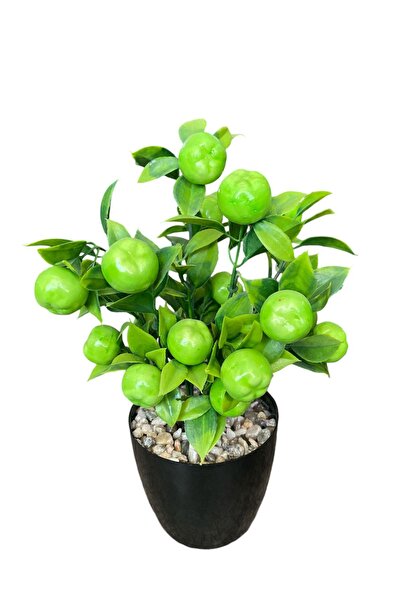 YAPAY ÇİÇEKÇİNİZ Artificial Green Apple Tree in a Pot with Stone Detail
