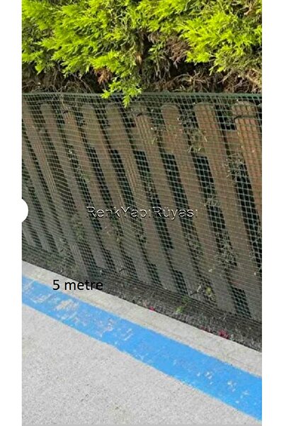 RENK YAPI RÜYASI Pvc Kaplı Puntalı Kümes Teli, Çit Teli 2,00MM 25*25 Göz, 25 ...