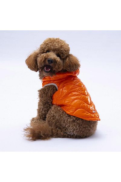 Pawstar Orange Light Wave Anorak Vest Dog Vest Dog Outfit Dog Raincoat