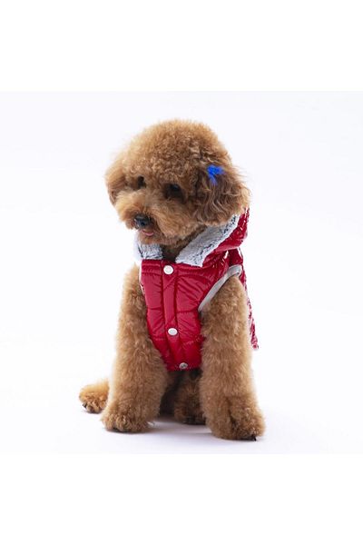 Pawstar Red Light Wave Anorak Vest Dog Vest Dog Outfit Dog Raincoat