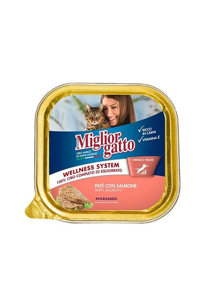 Miglior Pate with Salmon Cat Food, 100g, Pack of 12