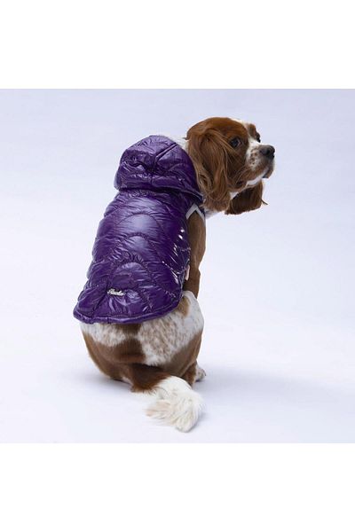 Pawstar Purple Light Wave Anorak Vest Dog Vest Dog Outfit Dog Raincoat