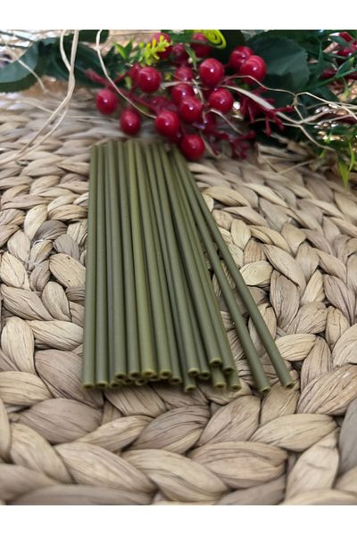 Deniz Party Store Olive Green Plastic Cake Pops Lollipop Stick 20 Pieces
