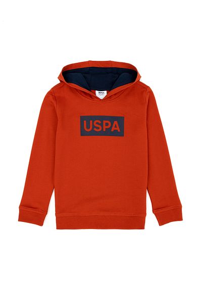 U.S. Polo Assn. Hanorac de bază Tile pentru băiat 50269424 -VR031