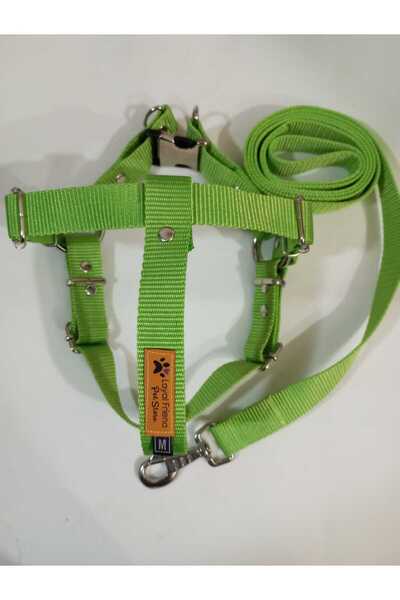 Loyal Friend Store köpek göğüs tasma NEON YEŞİLİ XL BEDEN (65-75 Cm)