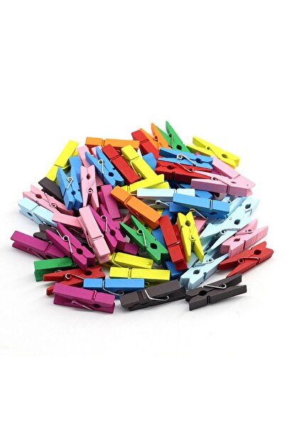 Skygo 100 komada šarenih drvenih klinova 2,5 cm 12 paketa 1200 komada