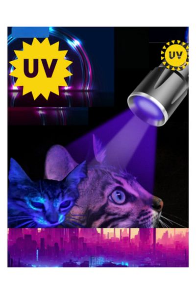 Hubjua Royal Ultraviolet Mushroom - UV Light Lantern Showing IDRAV, Cat Dog Dress