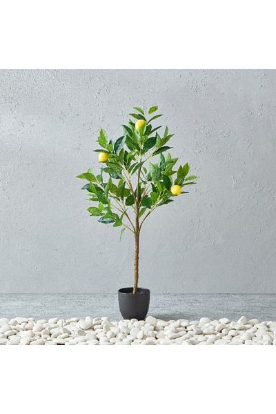 Home Box Alicia Lemon Tree with Pot 45x39x90 cm