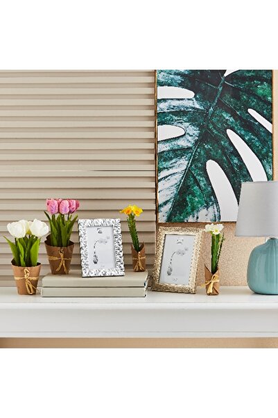 Home Box إطار صور مزخرف من Waterford - 4 × 6 بوصات