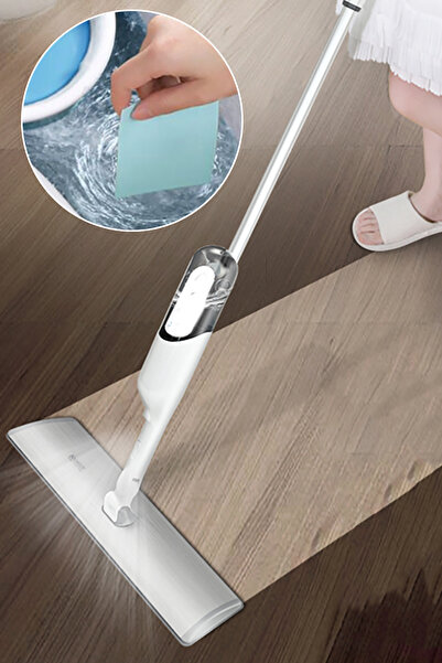 Riddex Zemin Temizleme Tabletleri Su İçine Atılan Çoklu Temizleyici Pedler Hı...