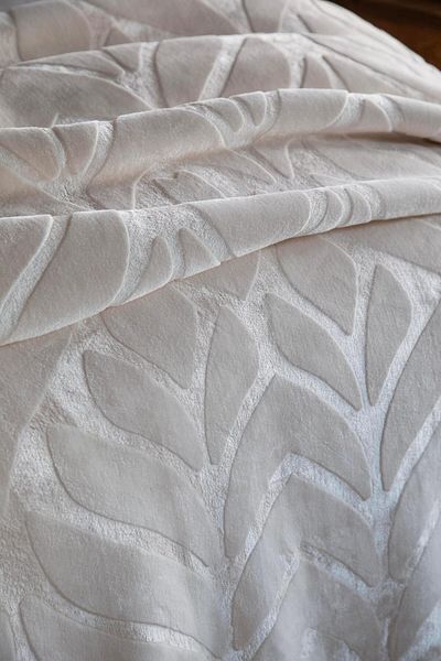 Apricitas HOME Loyal Ecru Blanket - 220/240 Model
