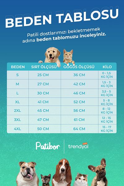 PATİBÖR Pink Heart Dog Dress