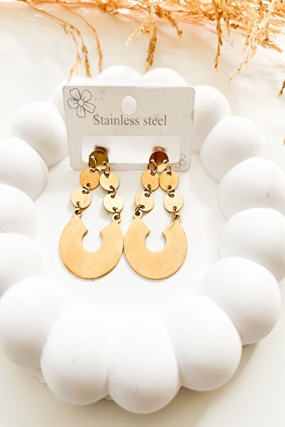 Pretty Round Dangle Steel Earrings