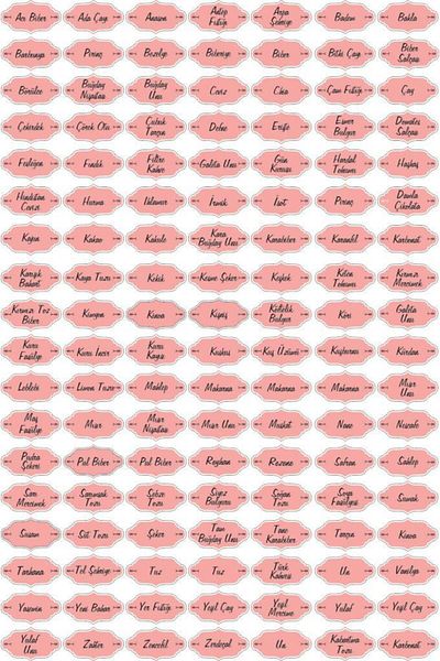 Lizpo Decor 126 Pieces Pink Kitchen Jar Spice Jar Sticker