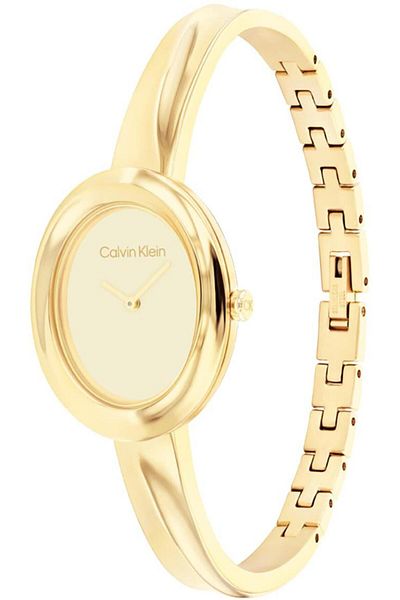 Calvin Klein Ck25100056 Women's Wristwatch