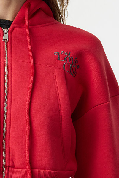 Trendyol Collection Thick and Fleece Knitted Sweatshirt - Cherry Rotten Printed, Hooded, Regular Fit Twoaw25Sw00068