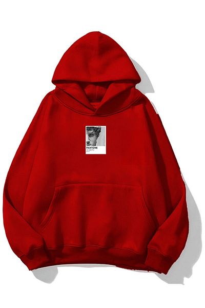 The Champ Clothing Унисекс суитшърт с качулка и полар, щампа David, червен, голям размер